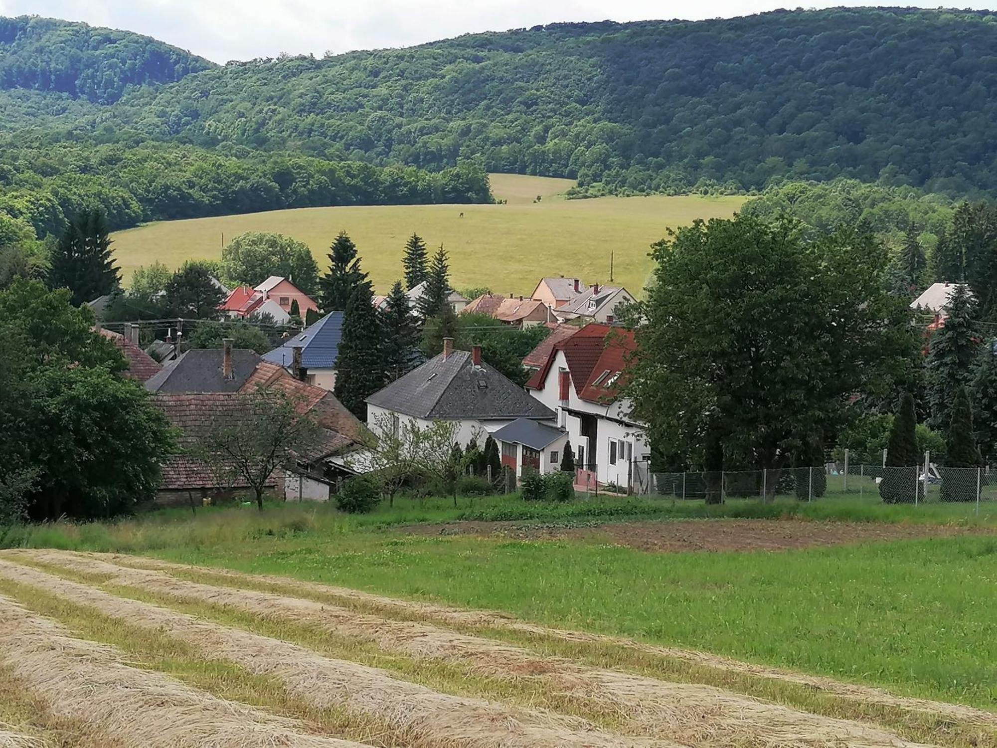 Borostyankut Wellness Home Bakonybél Екстериор снимка