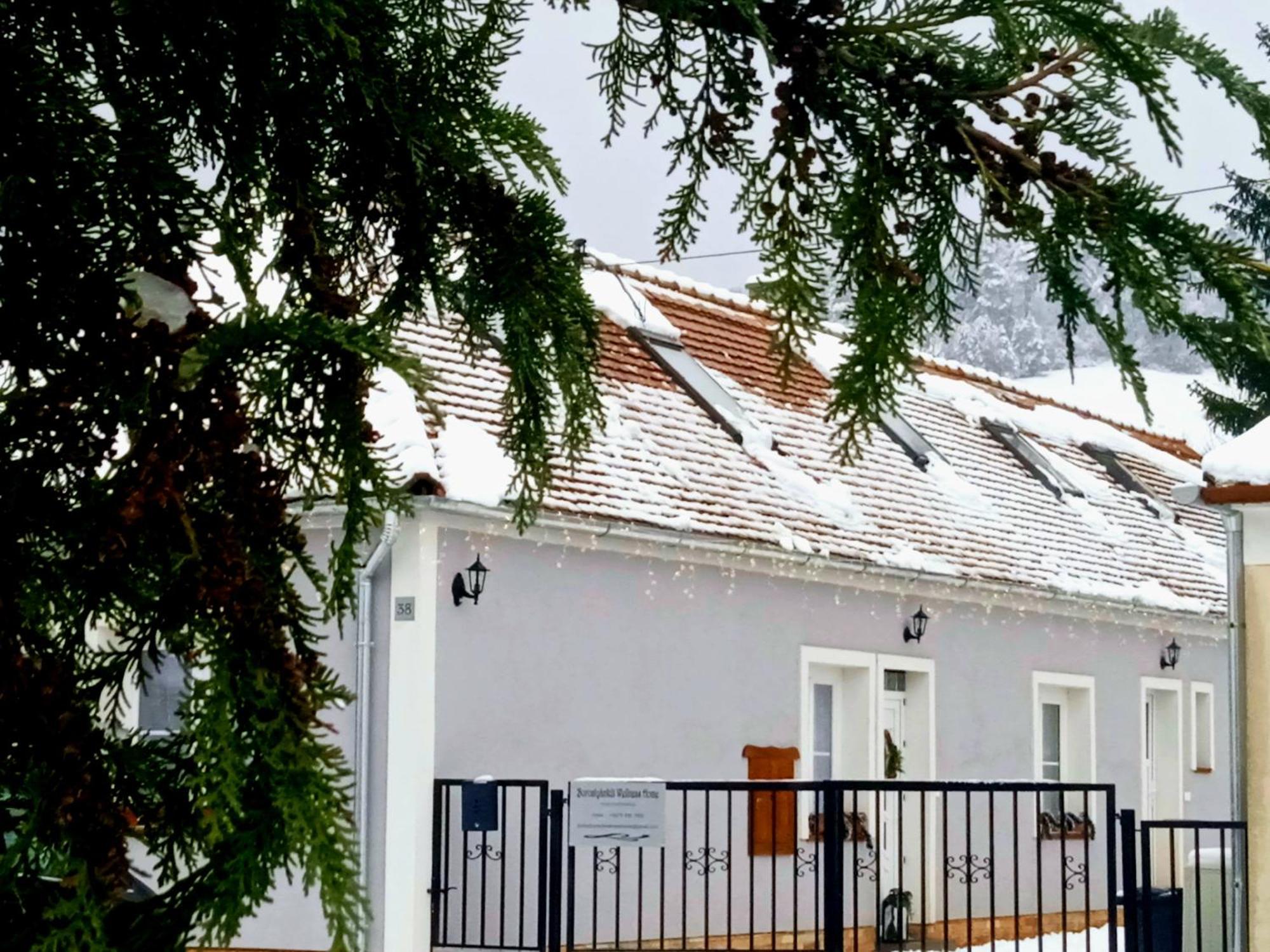 Borostyankut Wellness Home Bakonybél Екстериор снимка
